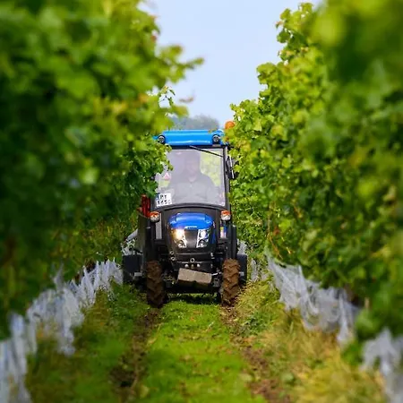 ホリデーパーク Lesny Dworek Winnica ダルウォボ