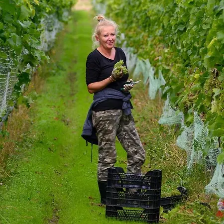 Lesny Dworek Winnica *