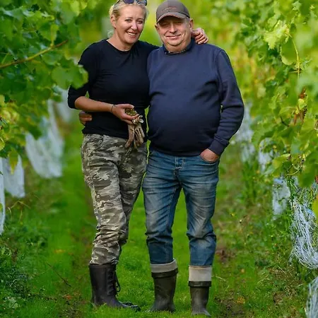 Lesny Dworek Winnica ダルウォボ