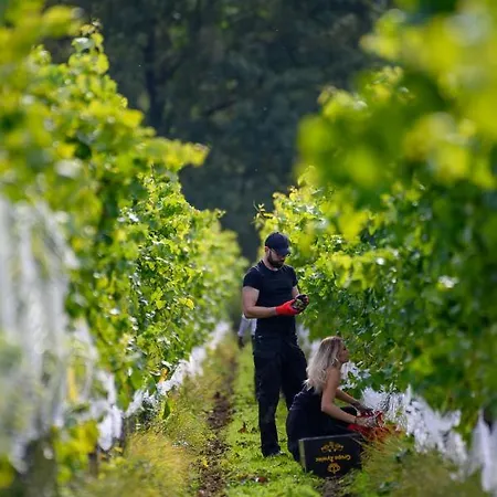 ホリデーパーク Lesny Dworek Winnica ダルウォボ