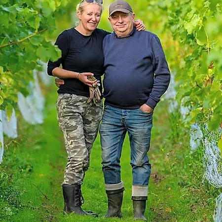 Lesny Dworek Winnica * Darłowo