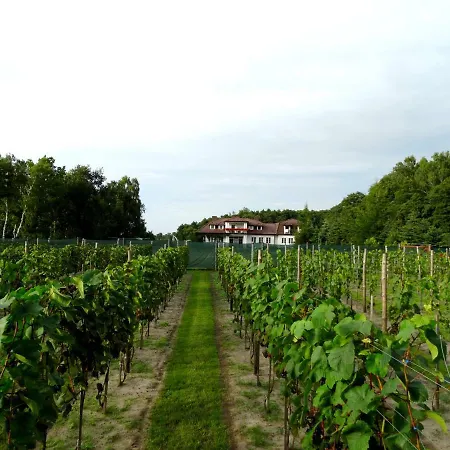 ホリデーパーク Lesny Dworek Winnica