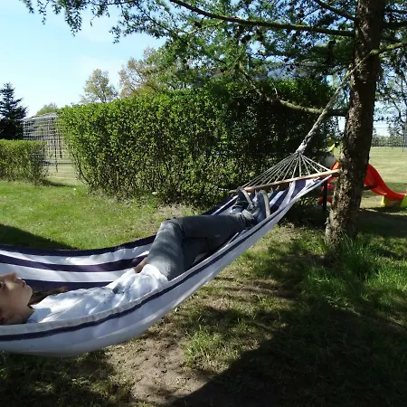 ホリデーパーク Lesny Dworek Winnica ダルウォボ