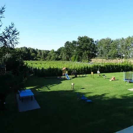 Lesny Dworek Winnica *