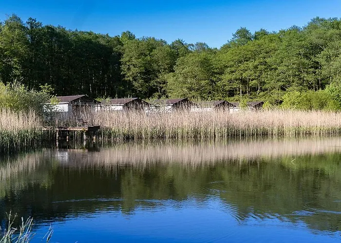 Parque de vacaciones Lesny Dworek Winnica