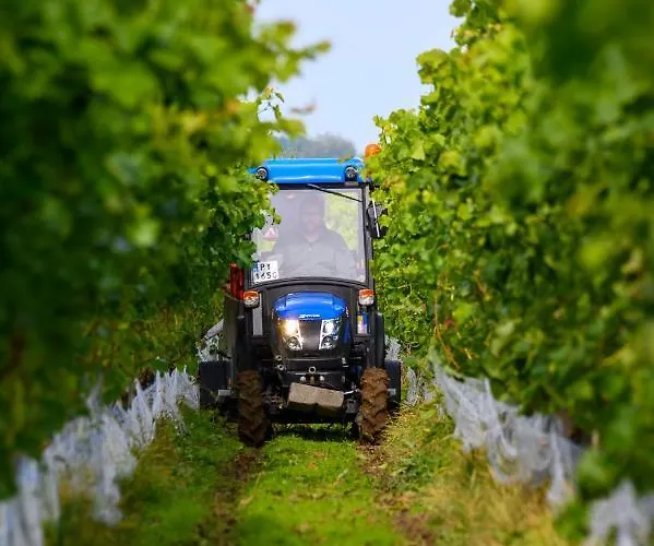 Parque de vacaciones Lesny Dworek Winnica Darłowo