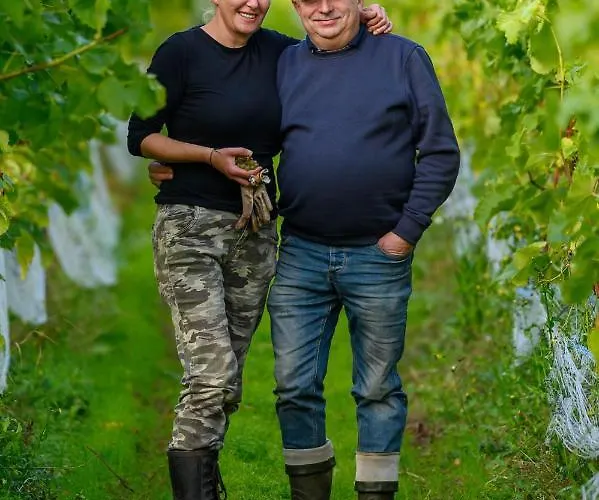 Lesny Dworek Winnica Darłowo