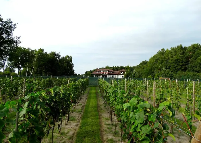 Parque de vacaciones Lesny Dworek Winnica