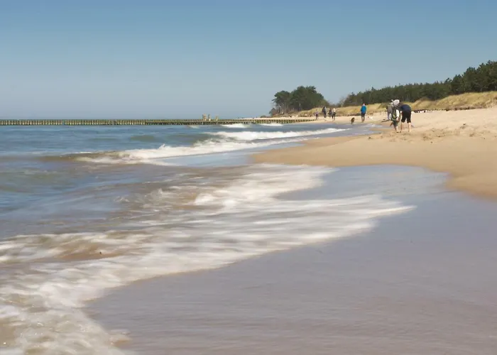 Lesny Dworek Winnica *