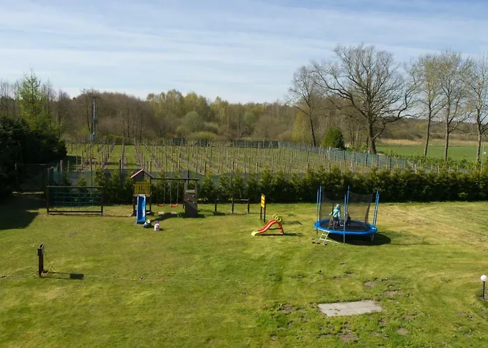 Lesny Dworek Winnica