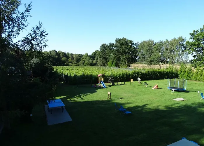 Lesny Dworek Winnica *